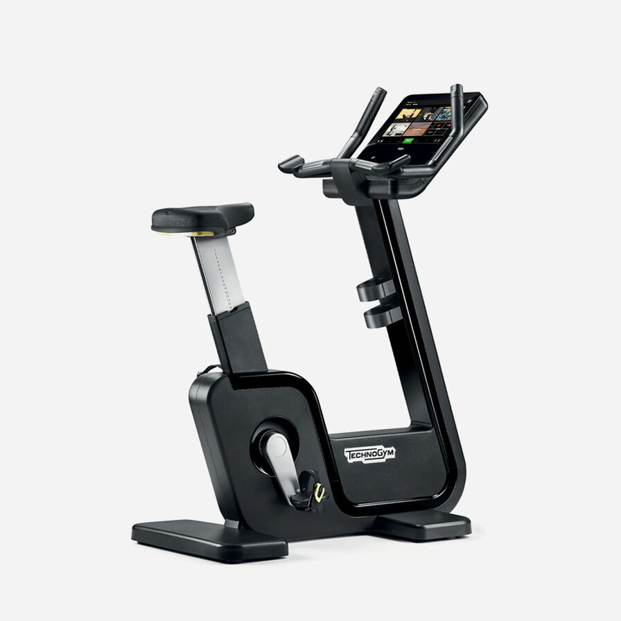 Technogym Artis Bike