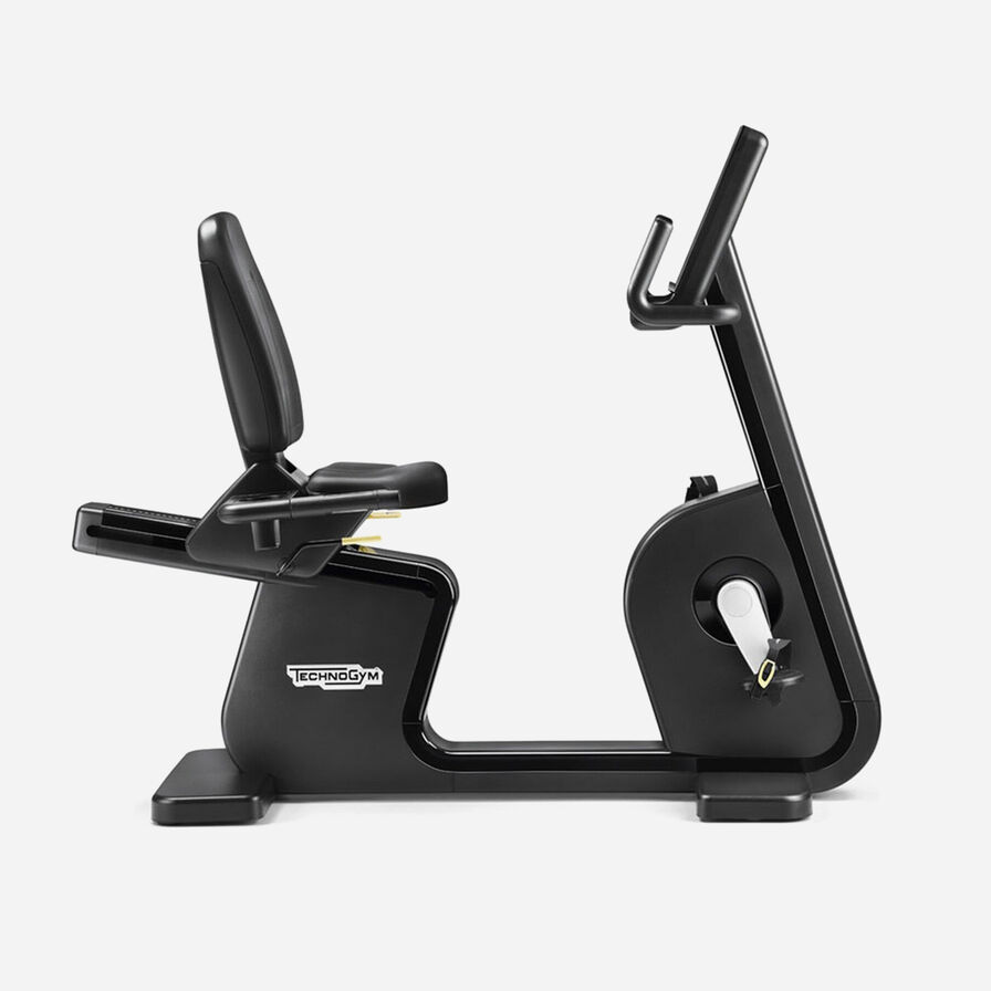 Technogym Artis Recline