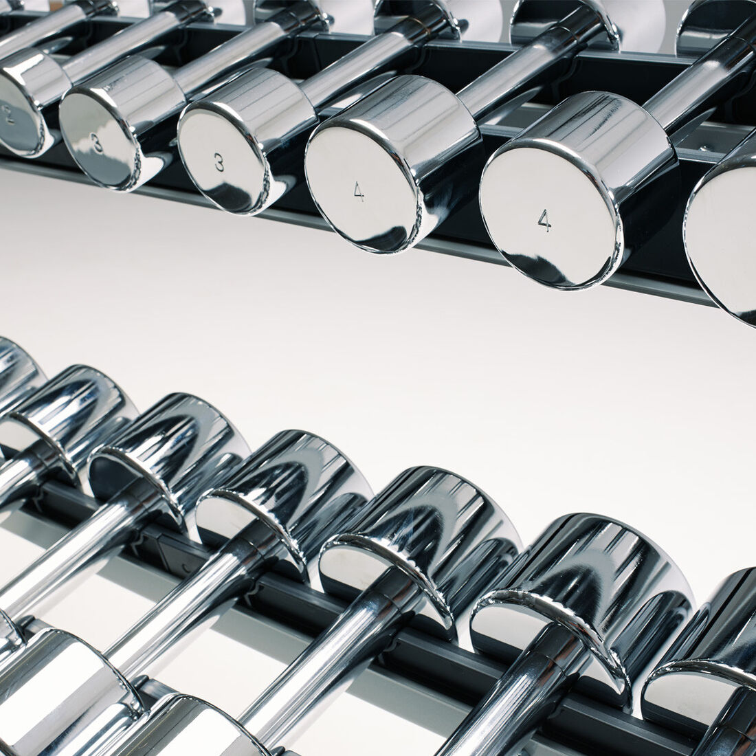Technogym Chrome Dumbbell
