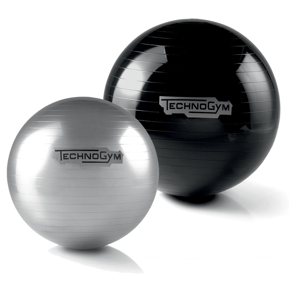 Technogym Wellness Ball Training Grey